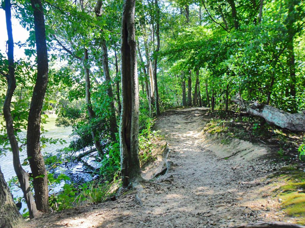 Private Boho Bungalow 10 Minutes To Downtown Rva! Richmond Zewnętrze zdjęcie